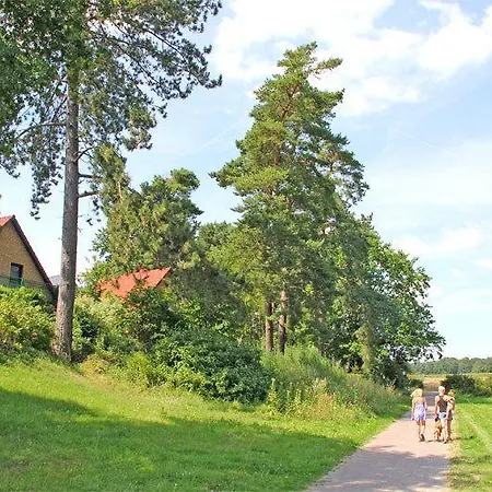 Ferienhaus Roebel See 7091 Holiday home